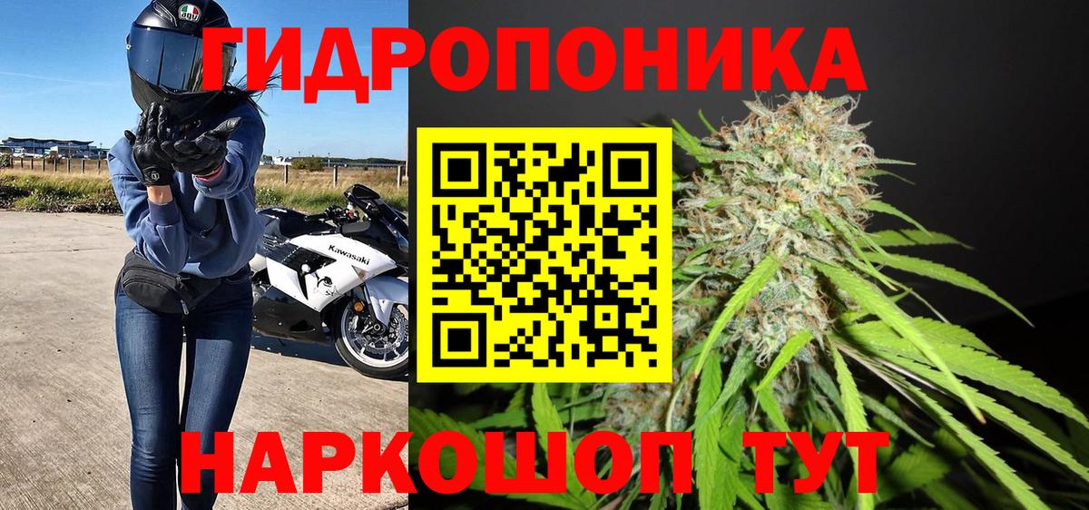 МАРИХУАНА семена  Бошки Шишки White Widow  Орёл  Вход с VPN  Канабис семена  Марихуана индика 